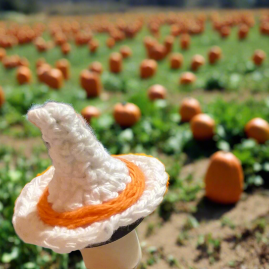Crocheted witch hat with a pumpkin patch in the background